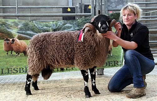 Alison Haygarth with the family’s 2015 Skipton Dalesbred shearling ram champion
