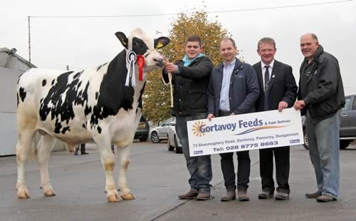Supreme champion was Priestland Legend exhibited by Iain and Matthew McLean, Bushmills. Included are Stephen McKenna, Gortavoy Feeds, sponsor; and judge Paul Hannan.
