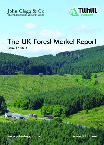 UK Forest Market Report