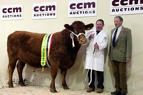 Paul Harrison with his 2015 Skipton South Devon heifer champion, joined by show judge Malcolm Broome