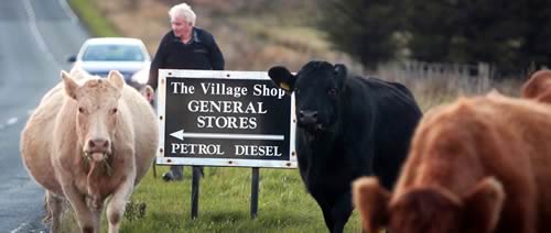 Crofting