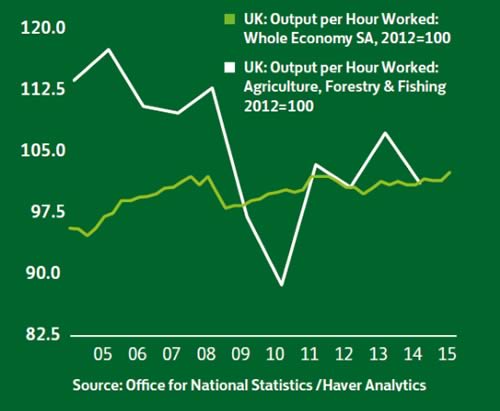 Productivity of the Agriculture, Forestry and Fishing sector compared with the UK as a whole
