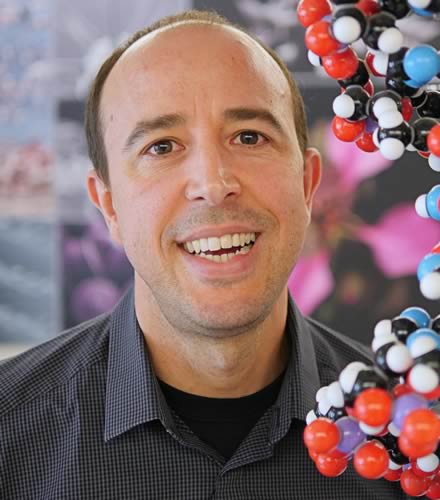Dr. L. Miguel Martins