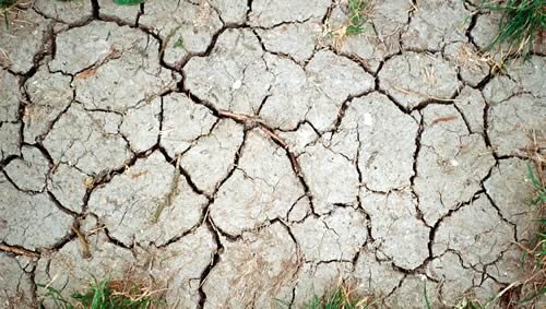 Cracked Soil
