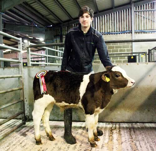 Tom Harrison with the family’s first-ever Skipton rearing calf champion
