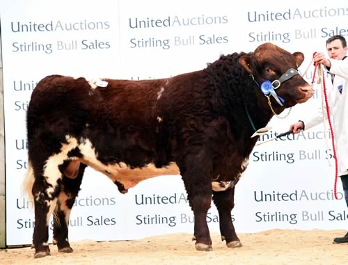 Glenisla Jackpot - 26,000gns