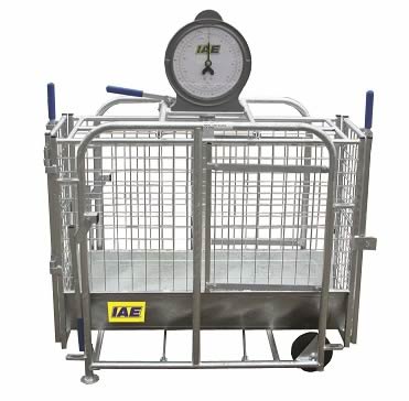 IAE lamb weigh crate