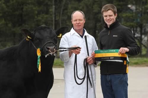 Kenneth and Steven Bready, Rathfriland, exhibited the 3,000gns male champion Kiltariff Denver R816.