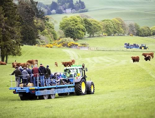 Farm Tours in progress at the 2015 Scottish Beef Event