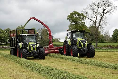Silaging