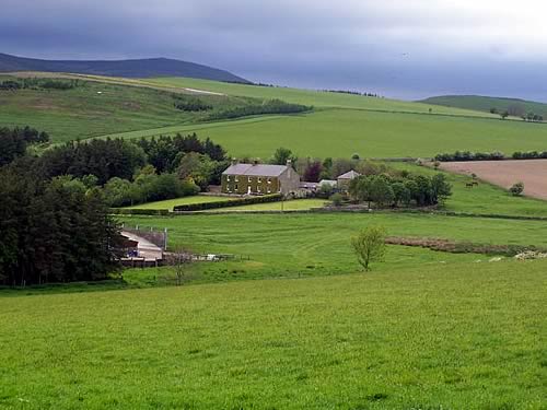 Farm
