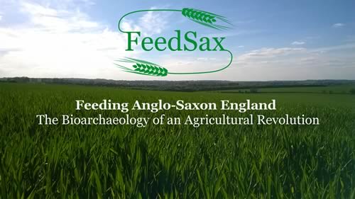 Feedsax