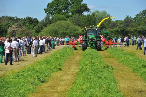 Grassland 2014