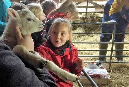School Visit