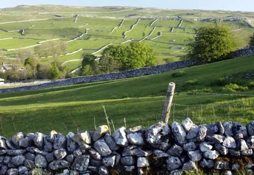 Farmland