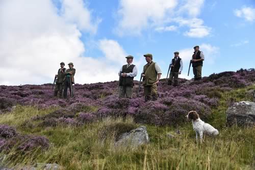 Lofthouse Moor