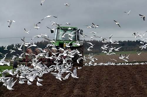 Ploughing