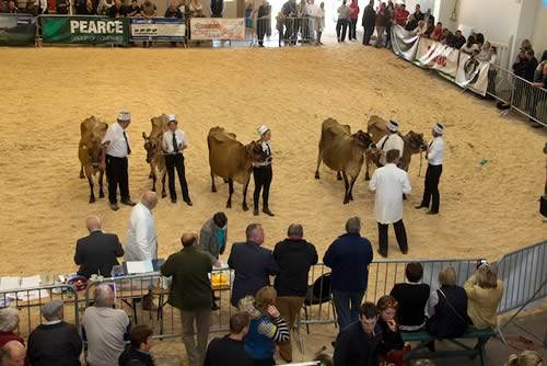 Dairy Show