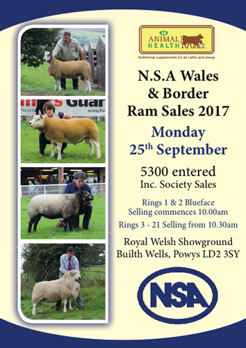 Ram Sale catalogue