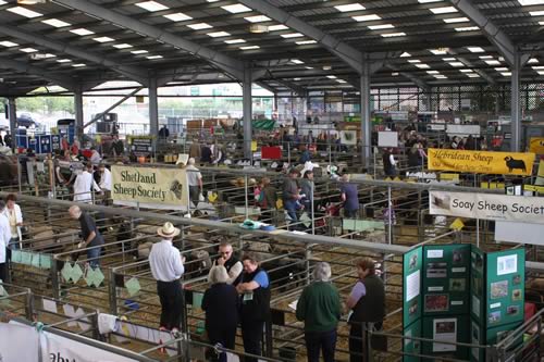 RBST Sale