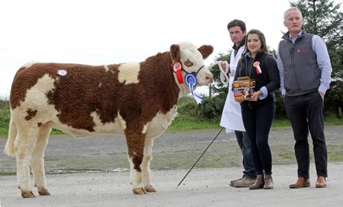 Slieve Croob Hot Chick 3,600gns