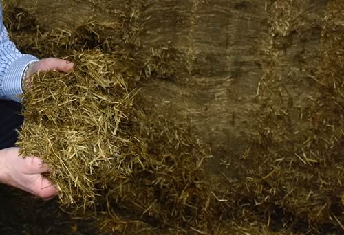 Silage quality and quantity in the clamp can have a major impact on the financial health of dairy farms for six months or more, says Derek Nelson of Volac