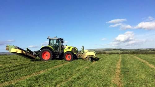 Mowing
