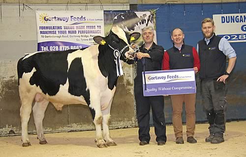 Top price at Holstein NI's 30th autumn show and sale in Dungannon was the 6,700gns Prehen Lerwick ET PLI £567 bred by Stuart Smith, Londonderry.He was congratulated by Stephen McKenna and Steven Gilkinson, Gortavoy Feeds, sponsors.