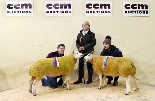 Matthew Burleigh, left, with his 2017 Skipton Beltex winter female champion, joined by Rebecca Braithwaite with the Curries’ reserve champion and top price, and show judge Sue Wilkinson, who purchased her chosen champion.