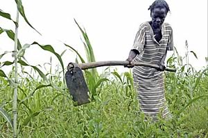 crop worker