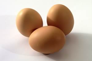 eggs