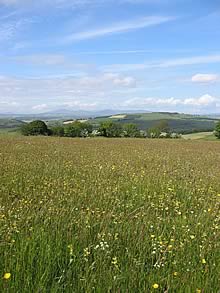 countryside