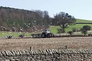 ploughing