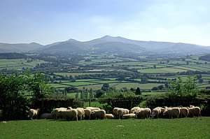 The role of the private land manager is paramount says CLA Wales