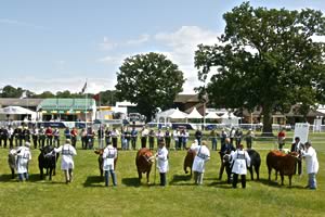 royal show