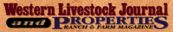 market reports