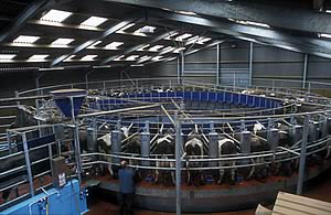 milking parlour