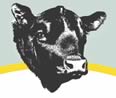 Aberdeen-Angus Cattle Society