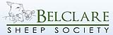 Belclare sheep