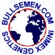 Bullsemen.com