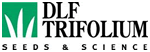 DLF Trifolium