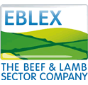 EBLEX