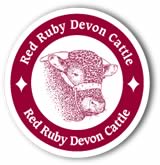 Red Ruby Devon Cattle