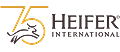 heifer international