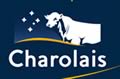 charolais in australia