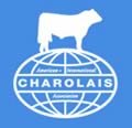 charolais usa