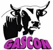 Gascon Cattle Society