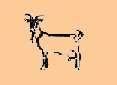 English Goat Breeders Association