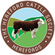 hereford cattle