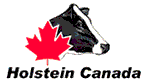 holstein canada